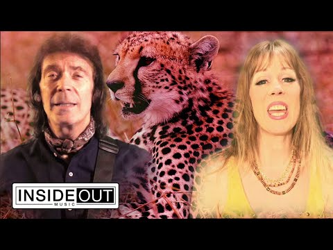 Steve Hackett MP3 4 CD - фото 3 - id-p2451959545