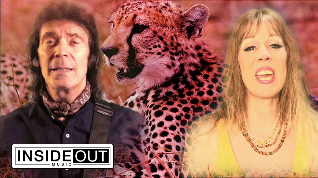 STEVE HACKETT - Wingbeats (OFFICIAL VIDEO) - YouTube