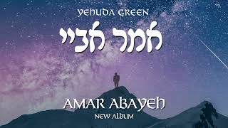 אלבום חדש: יהודה גרין - עמר אביה - סמפלר
