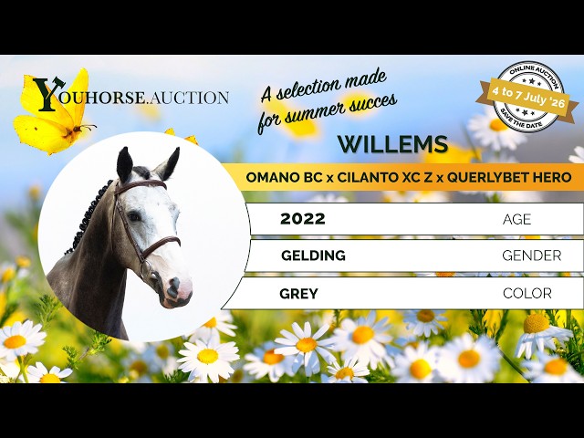 Willems