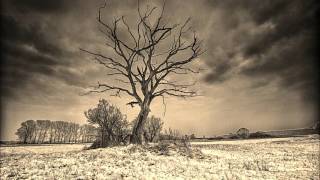 Shapednoise - For Process -