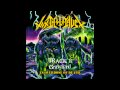 Toxic Holocaust - An Overdose Of Death 