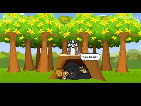 Bruno: The lazy bear