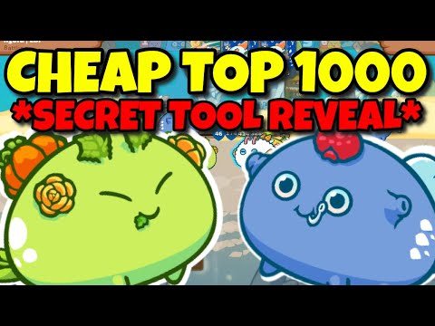 CHEAP TOP 1000 TEAM AXIE INFINITY - Season 19 - Budget Build 2500+ MMR | Mech Aqua Plant | STRATEGY