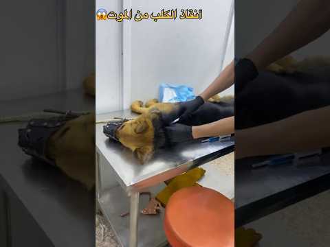 منو يتذكر هاي الحضات😔