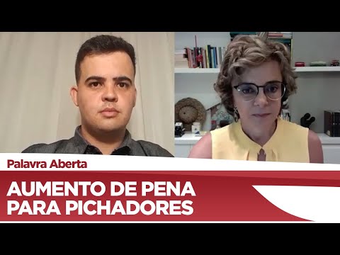 Junio Amaral  explica aumento de pena para pichadores - 18/12/20