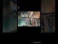 Ice Age The Meltdown DTCL Style Part 21 MineField