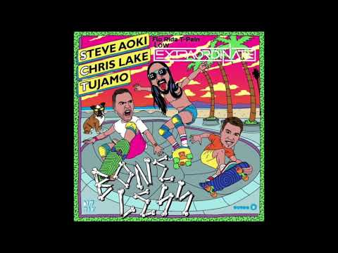 Steve Aoki, Cris Lake & Tujamo vs. Flo Rida (ExtraordiNate Bootleg Mash up)