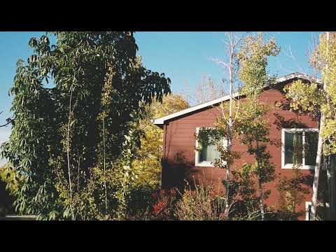 Trevor Hall and The Great In-Between - put a little time aside (Official Lyric Video)