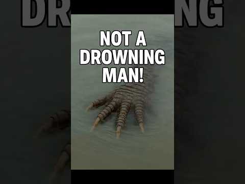 This “Drowning” Person Might Be a Crocodile… 🐊😨 #shorts