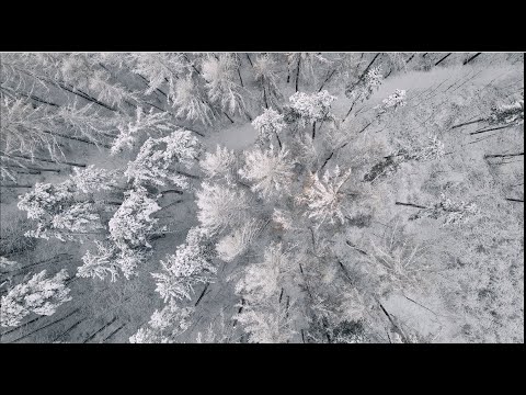 Youtube Video -8uQg7SKj8s