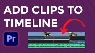 How to Add Clips to the Timeline in Adobe Premiere Pro
