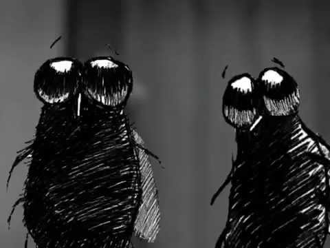 Film, Że Mucha Nie Siada 2005 HD