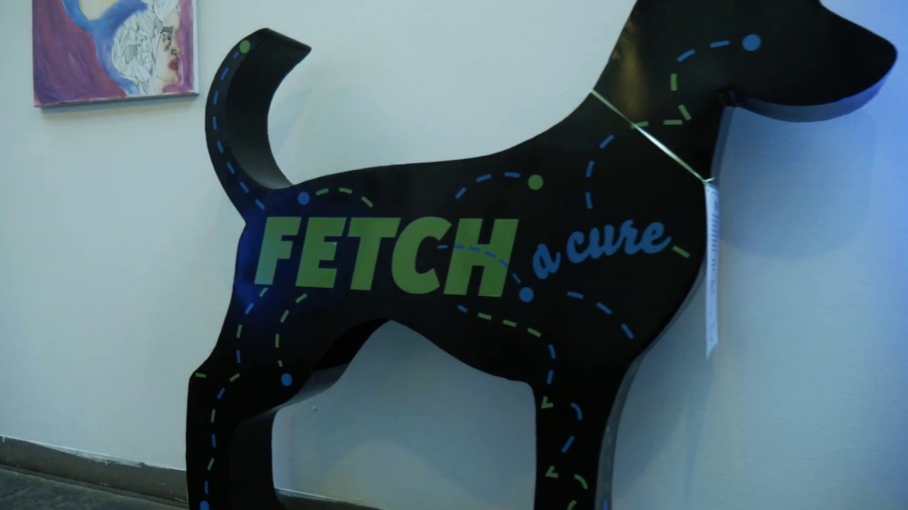 Fetch A Cure