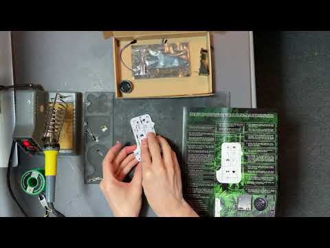 Building the Synth Bird