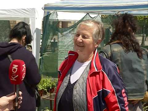 Smederevski dani cveća i meda 2019