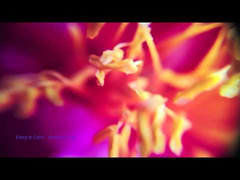 Deep In Calm -  Nowhere city (Tour De Traum XV)