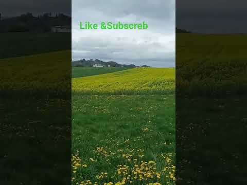 ዘለኽዎ ቦታ  ንእሽተን ከካፍለኩም