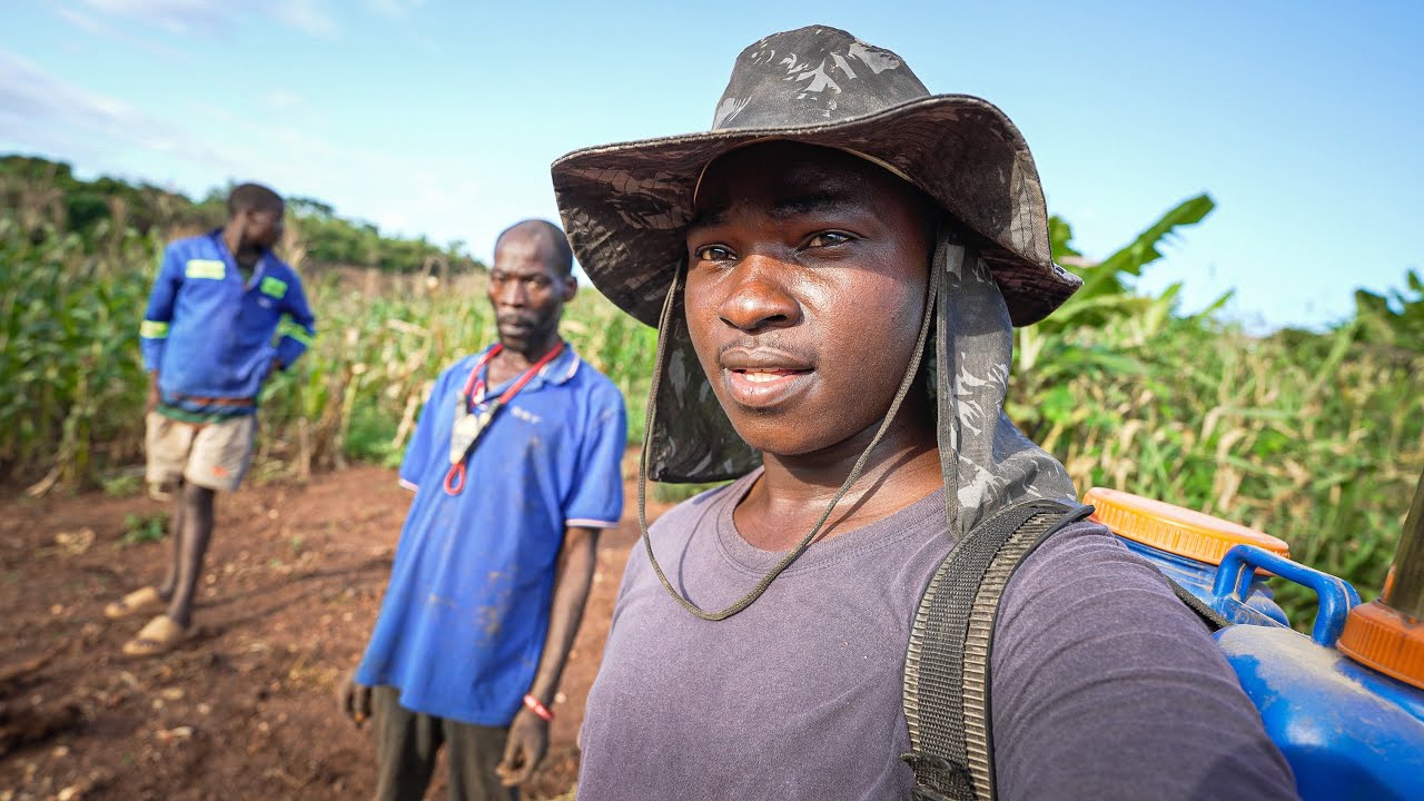 Trabalho e Diversão na Roça – Dança, Plantio e Evolução!