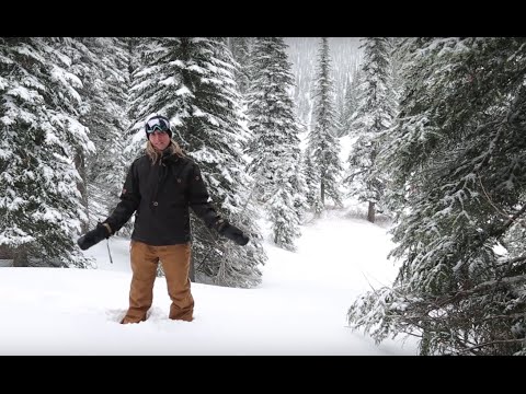 Things to do in Fernie BC - A winter guide