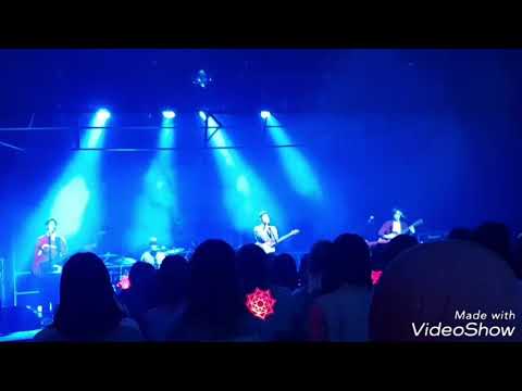 SHE'S IN THE RAIN - THE ROSE 🌹