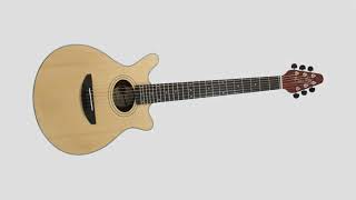 Video thumbnail for BMG Rhapsody Electro Acoustic Guitar Unboxing by rozsalaszlo