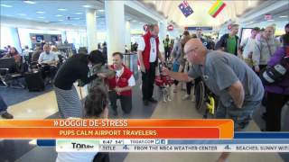 LAX Therapy Dog Program on The Today Show