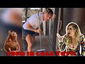 TOPO IN CASA DI FRANCESCO TOTTI E ILARY BLASI LE COMICHE