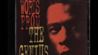 the genius / gza - those were the days