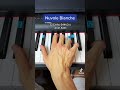Nuvole Bianche easy piano tutorial!