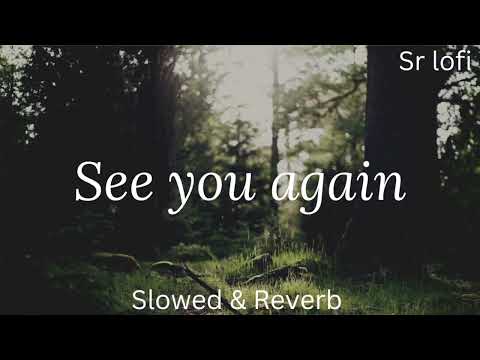 See you again ( Slowed & Reverb ) | Sr lofi |