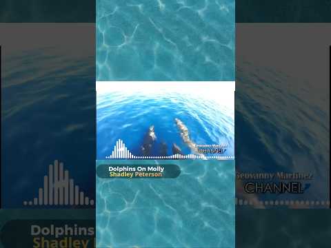 Dolphins on Molly Shadley Peterson #vaporwave #vaporwaveaesthetic