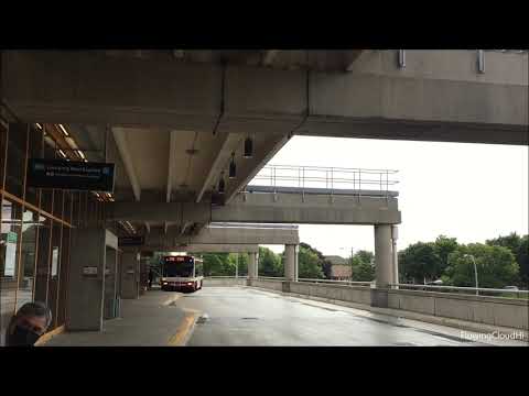 TTC Bus 8179 On Route 109B:  RANEE To NEPTUNE AT Lawrence West Station