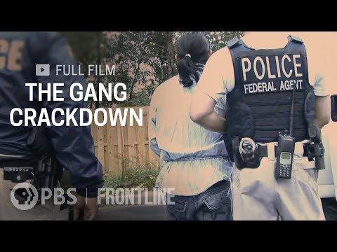 THE GANG CRACKDOWN