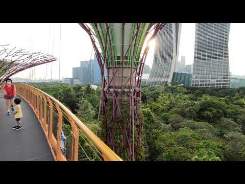 19 September 2020(1)