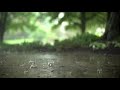 Rain sounds with piano for sleeping | Rain sleep music 30 minutes | SoundXO - Relaxing Music