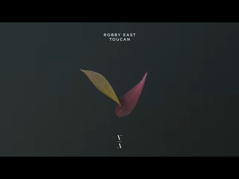 Robby East - Toucan