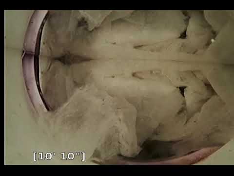 Dobransky 43697 2021 06 28 14 07 53