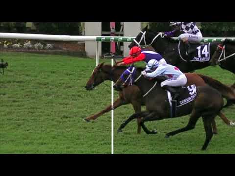 2019 BRC Queensland Oaks