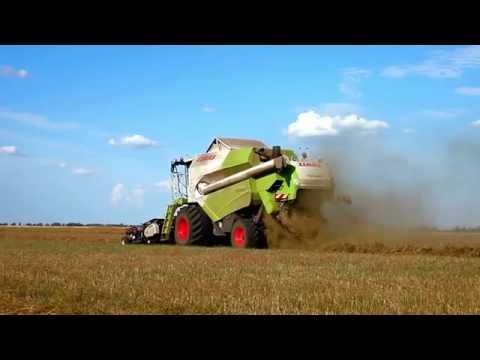 Фильм об Алтайском крае Фильм об Алтайском крае
