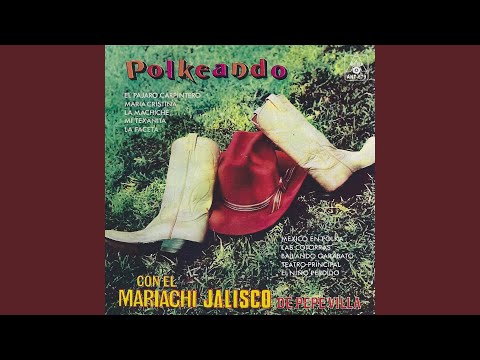 Las Cotorras (Instrumental)