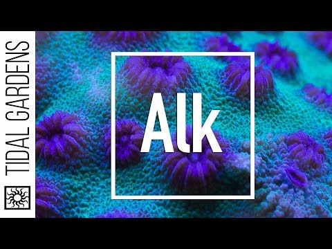 Reef Chemistry: Alkalinity Level Testing