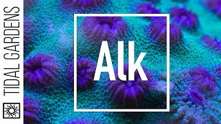 Reef Chemistry: Alkalinity Level Testing
