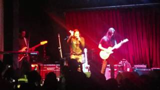 Butterflies - Sponge Cola