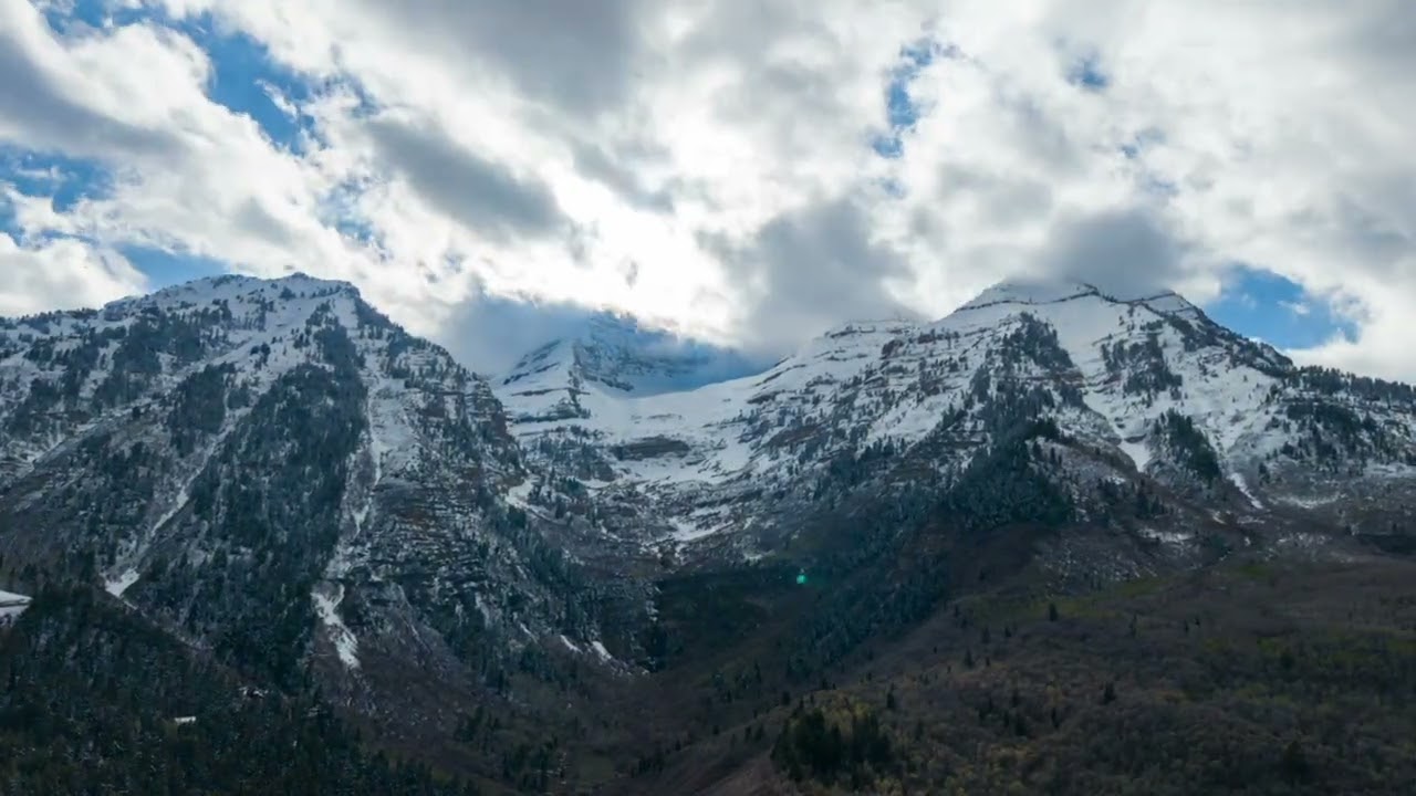 Aerial clip