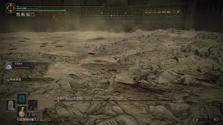 [心得] 法環DLC 尾王打法