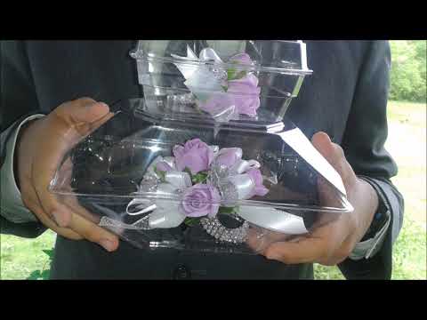 Neutral Milk Hotel - Communist Daughter (W/o Holland Intro)