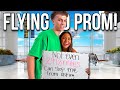 FLYiNG ALONE To HOMECOMING ️