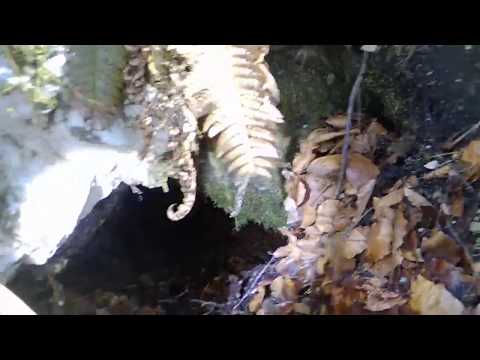 Altbergbau: kleiner Stollen westlich vom "St. Josef Revier" -  Teil 1 von 2