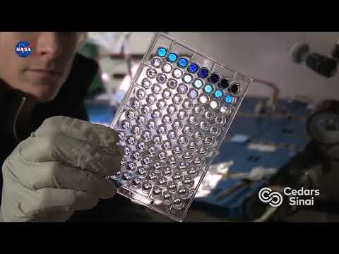 Stem cells go into space